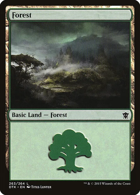 Forest, card 263 from Dragons of Tarkir