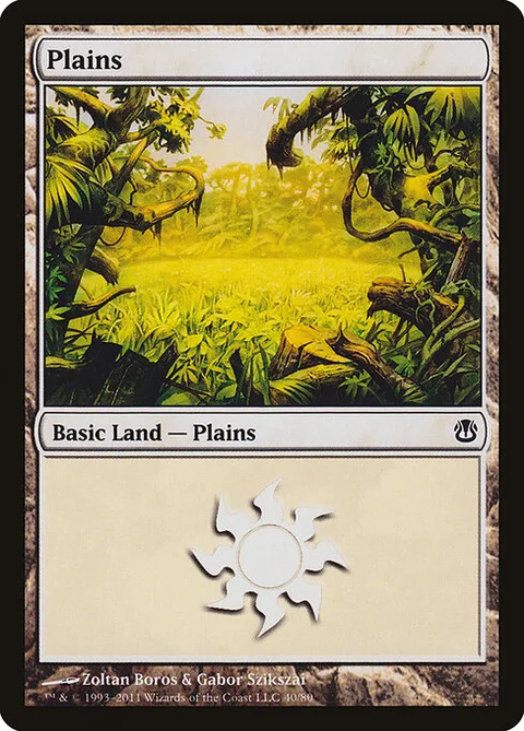 Plains, card 40 from Duel Decks: Ajani vs. Nicol Bolas