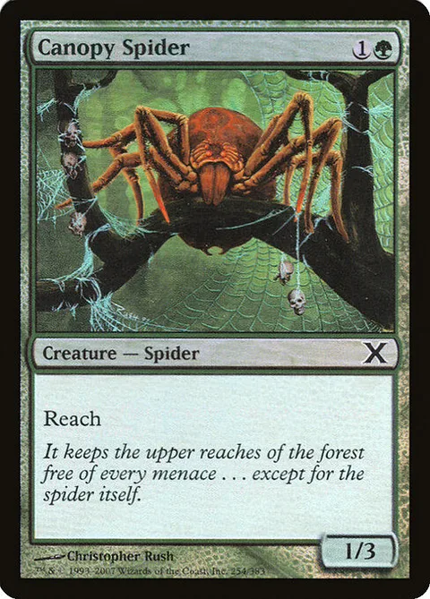 Canopy Spider, card 254★ from Tenth Edition