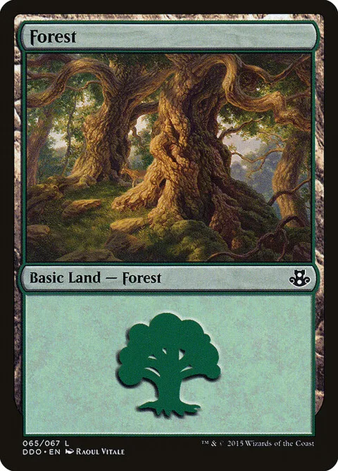 Forest, card 65 from Duel Decks: Elspeth vs. Kiora