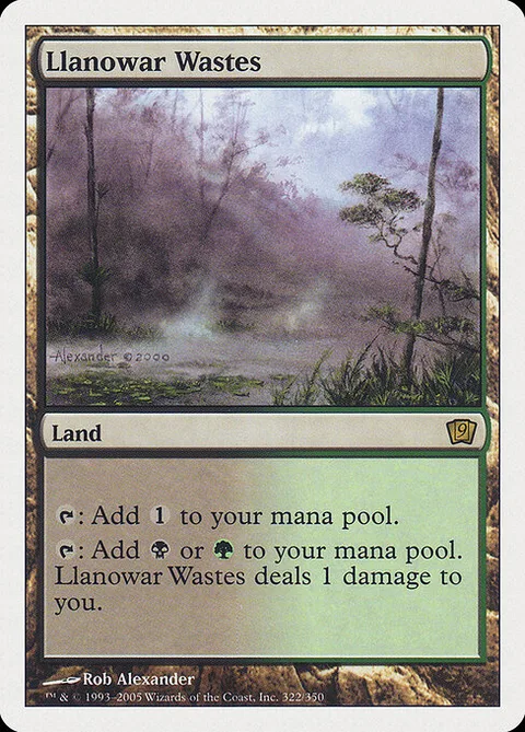 Llanowar Wastes, card 322 from Ninth Edition