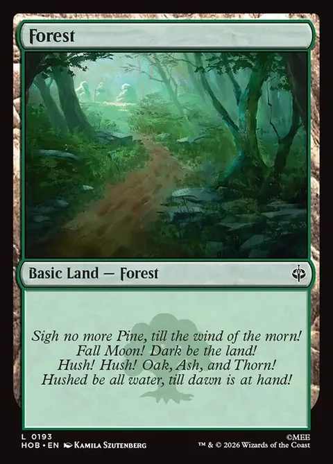 Forest, carte 193 de The Hobbit