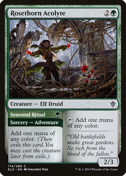 Rosethorn Acolyte // Seasonal Ritual, carte 174 de Throne of Eldraine