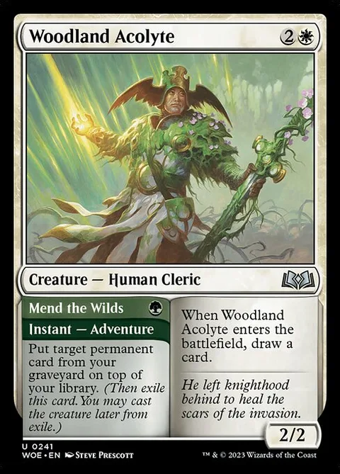 Woodland Acolyte // Mend the Wilds, card 241 from Wilds of Eldraine
