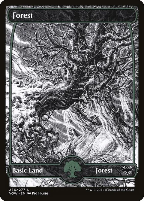 Forest, carte 276 de Innistrad: Crimson Vow