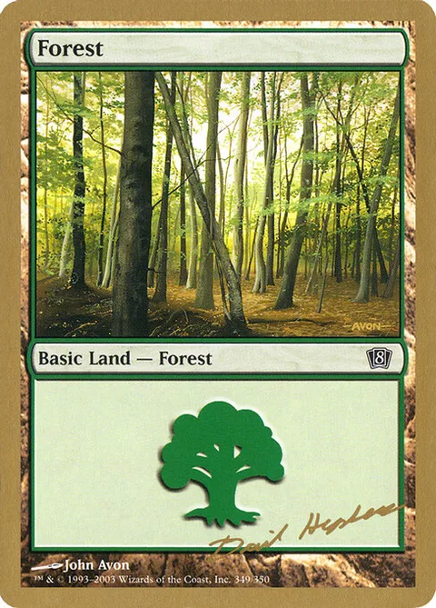 Forest, card dh349 from World Championship Decks 2003