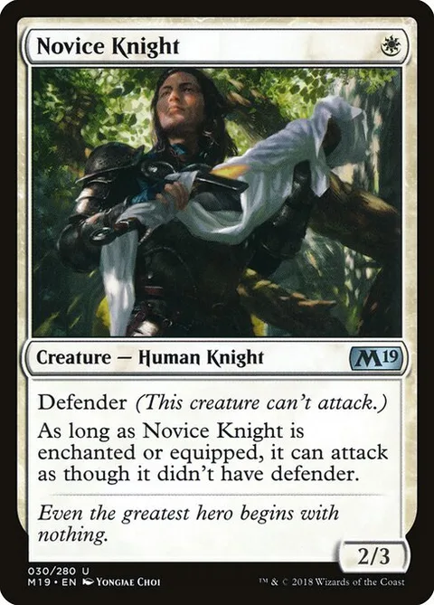 Novice Knight, card 30 from Core Set 2019