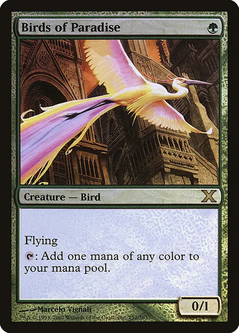 Birds of Paradise, carte 252★ de Tenth Edition