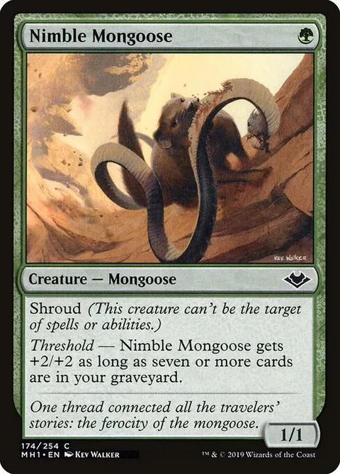 Nimble Mongoose, card 174 from Modern Horizons