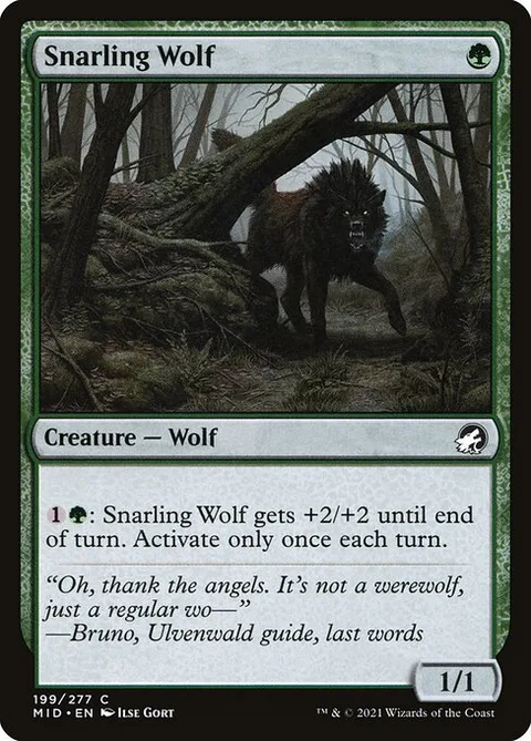 Snarling Wolf, carte 199 de Innistrad: Midnight Hunt