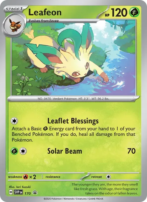 Leafeon, card 170 from SVP Black Star Promos