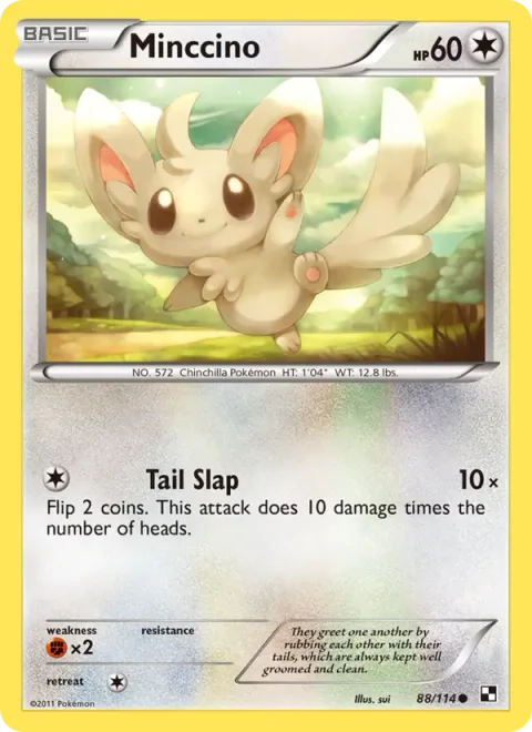 Minccino, carte 88 de Black & White